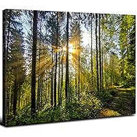 Green Forest Canvas Wall Art Sunrise Nature Mountain Landscape Picture Wall Decor for Living Room 24x36, Large Tropical Trees Modern Framed Painting Artwork for Bedroom Kitchen Office Home Decoration