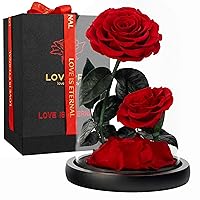 Eternal Flower in a Glass Dome: Preserved Rose - The Perfect Infinity Forever Rose Gift for Her on Valentine's Day, Mother's Day, Birthday, Anniversary, Wedding, and Christmas (9 inch)