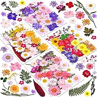 LAVEVE Dried Flowers 21 Bags 100% Natural Dried Flowers Herbs Kit for Soap Making DIY Candle Bath Resin Jewelry Making - Include Lavender Don't