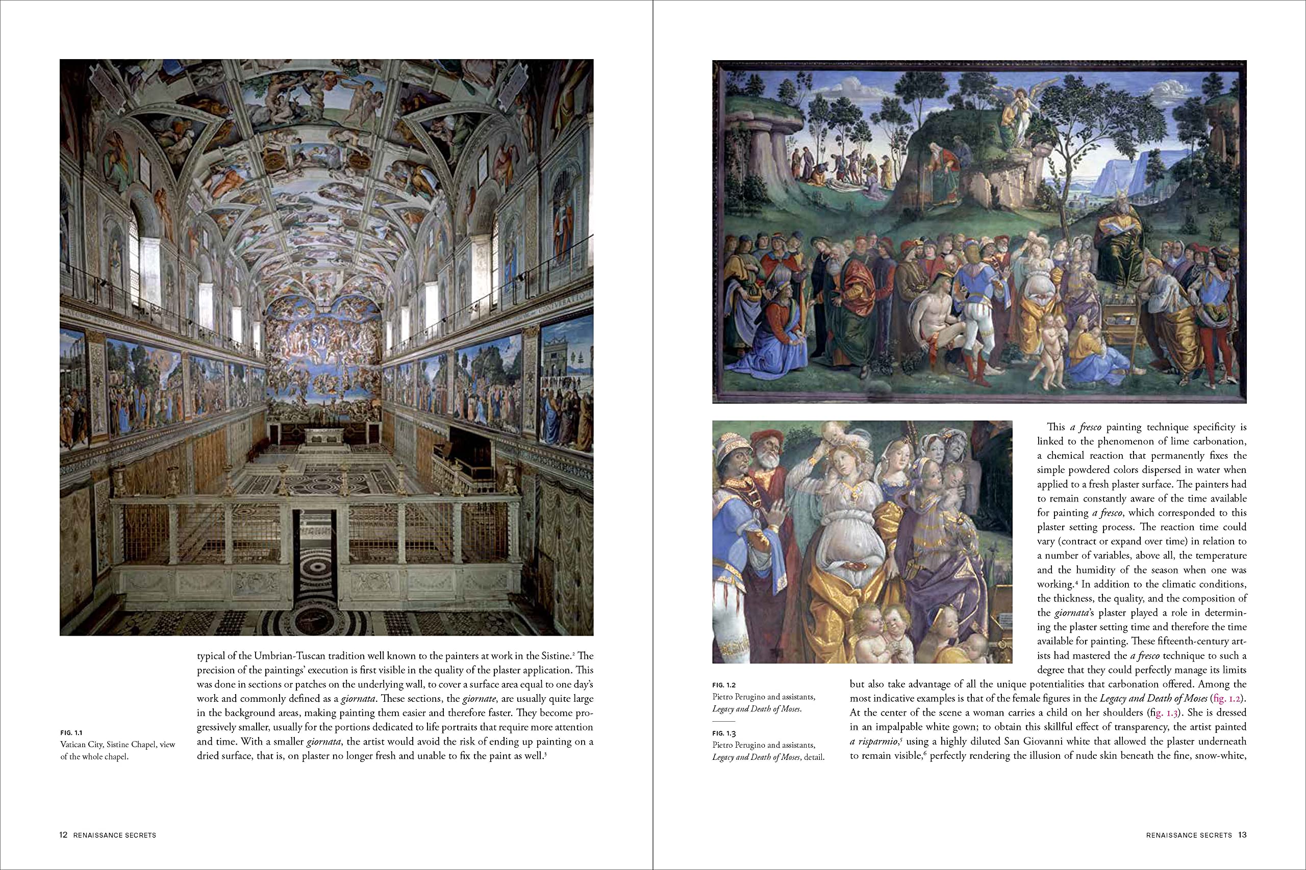 Renaissance Secrets: A Lifetime Working with Wall Paintings by Michelangelo, Raphael, and Others at the Vatican