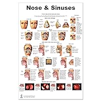 Nose and Sinus Poster 24x36inch, Anatomy chart