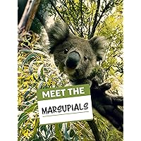 Meet the Marsupials