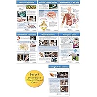 96-6002 All About Opioid Drugs Bulletin Board Chart Set, 12 x 18 Inch, Set of 7