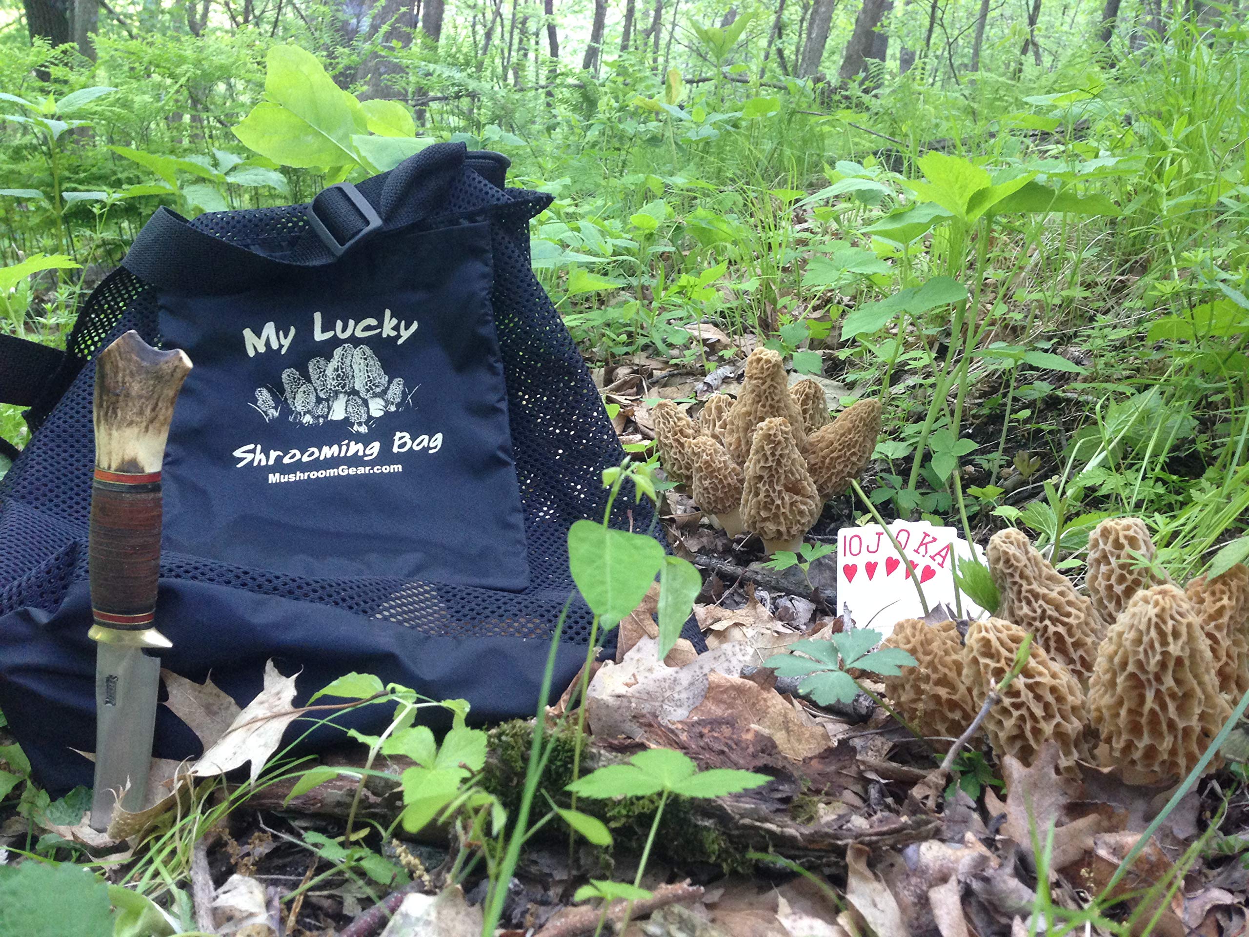 Mushroom Hunting Bag. Made in USA