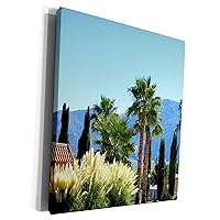 3dRose Trees at the Beaver Lodge in Little Field Arizona... - Museum Grade Canvas Wrap (cw_274907_1)