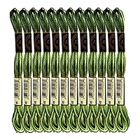 Magical Color Variegated Cross Stitch Thread Color Variations Embroidery Floss Pack, 8.7-Yard, Forest Green, Pack of 12 Skeins