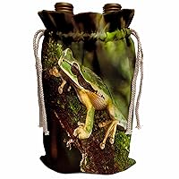 3dRose Masked Treefrog, Costa Rica, Central America - Wine Bags (wbg-380576-1)