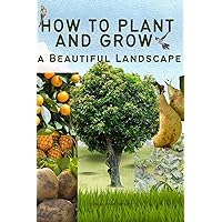 How to Plant and Grow a Beautiful Landscape : A Step by Step Guide to Creating Herbs, Flowers and Other Plants without Pathology or Disease, Creating a vegetable garden in a small spaces How to Plant and Grow a Beautiful Landscape : A Step by Step Guide to Creating Herbs, Flowers and Other Plants without Pathology or Disease, Creating a vegetable garden in a small spaces Kindle Paperback