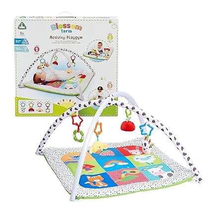 Early Learning Centre Blossom Farm Playmat & Arch, Physical Development, Hand Eye Coordination, Stimulates Senses, Baby Toys 0+ Months, Amazon Exclusive, by Just Play