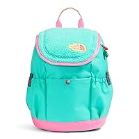 THE NORTH FACE Kids' Mini Explorer Backpack, Geyser Aqua/Gamma Pink/Lemon Yellow, One Size