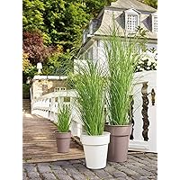Klocke Artificial Plants, Decorative Grass in Pot, Artificial and True-to-life, Timeless Decoration