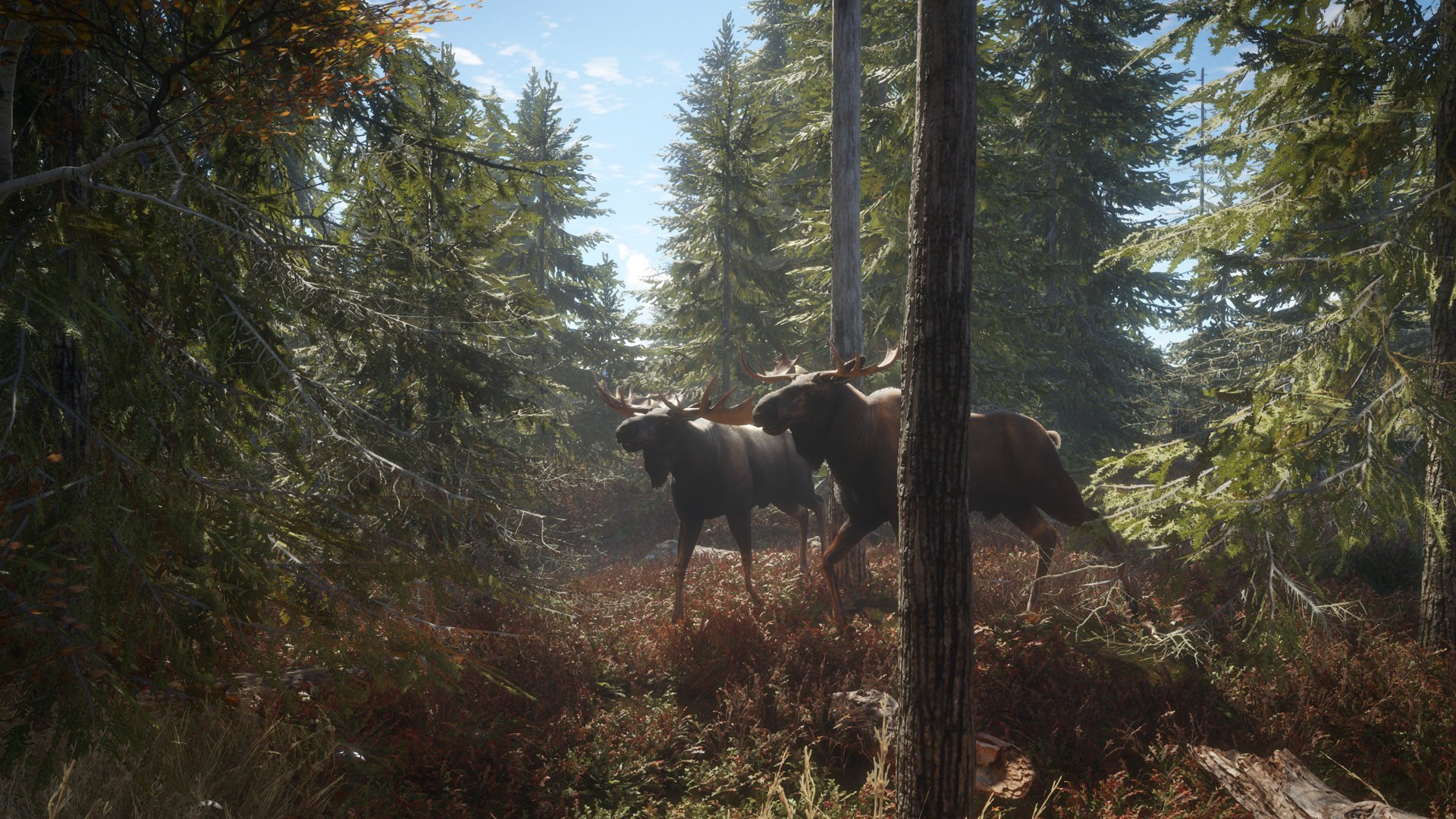 theHunter: Call of the Wild - PlayStation 4