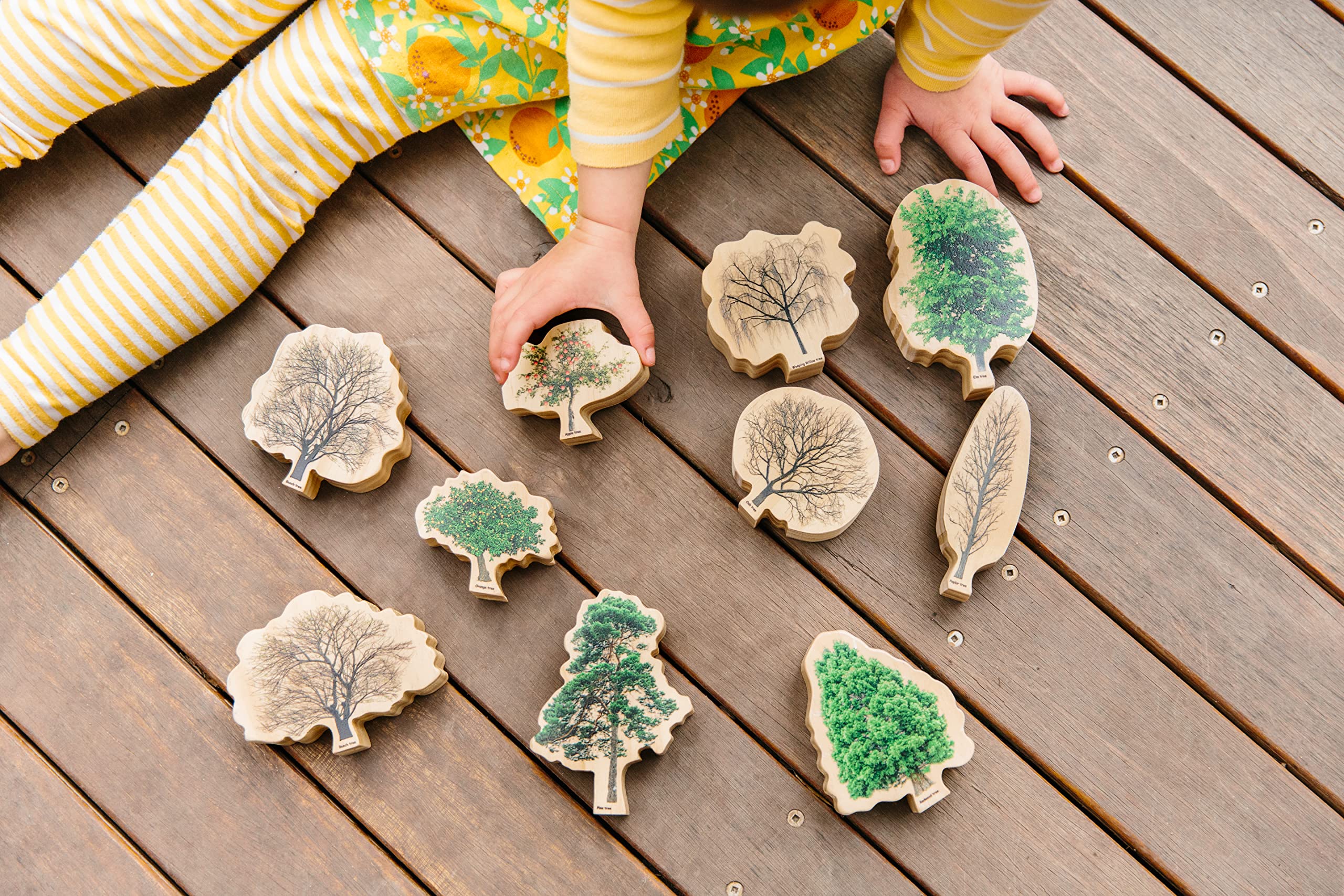 THE FRECKLED FROG Seasons - Set of 10 - Ages 18m+ - Wooden Tree Blocks - Double-Sided - Real Photographs - Trees in Winter, Summer, Autumn and Spring