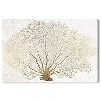 The Oliver Gal Artist Co. Nautical and Coastal Contemporary Wrapped Canvas Wall Art Gold Coral Fan Living Room Bedroom and Bathroom Home Decor 45 in x 30 in White and Gold