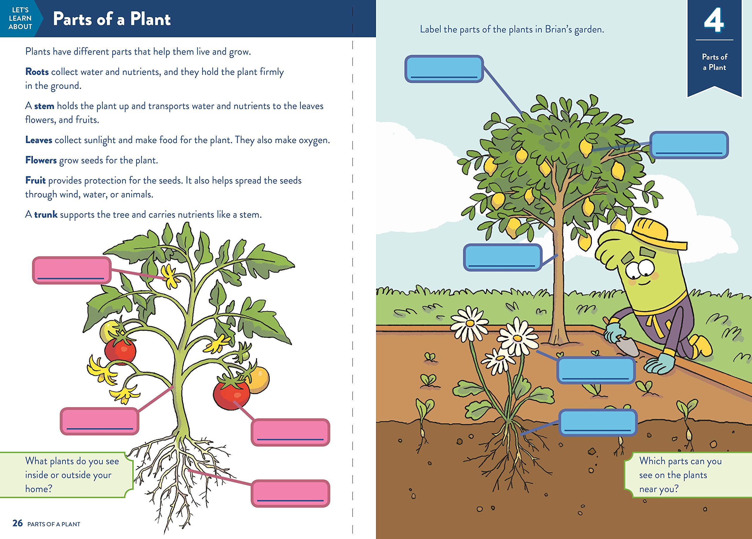 TinkerActive Workbooks: 1st Grade Science