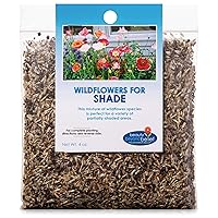 Partial Shade Wildflower Seeds 4oz - Open-Pollinated Wildflower Seed Mix Packet, No Fillers, Annual, Perennial Wildflower Seeds Year Round Planting