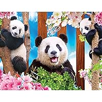 Cra-Z-Art - RoseArt - Kodak Premium - Panda Playtime - 100 Piece Jigsaw Puzzle