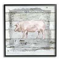 Country Pink Pig Over Book Collage Rustic Pattern Wall Art, 17 x 17, Black Framed