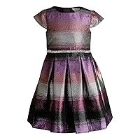 Youngland Girls Special Occasion Holiday Dress