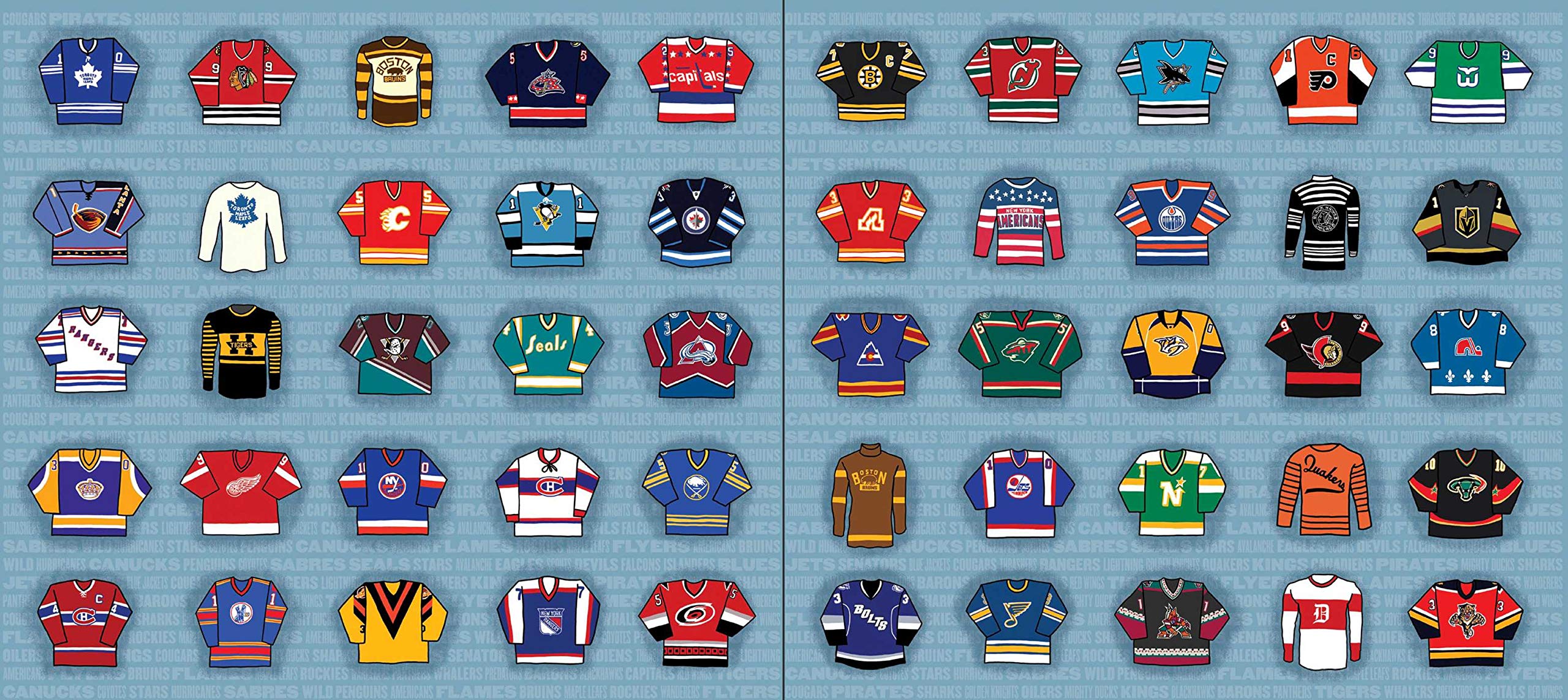 Fabric of the Game: The Stories Behind the NHL's Names, Logos, and Uniforms