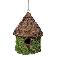 SuperMoss (56013) Bungalow Birdhouse with Chain, 11 by 15-Inch, Fresh Green