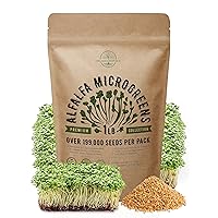 Alfalfa Sprouting & Microgreens Seeds - Non-GMO, Heirloom Sprout Seeds Kit in Bulk 1lb Resealable Bag for Planting in Soil, Coconut Coir, Garden, Aerogarden, Hydroponic System