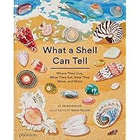 What A Shell Can Tell What A Shell Can Tell Hardcover