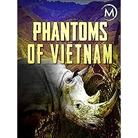 Phantoms of Vietnam