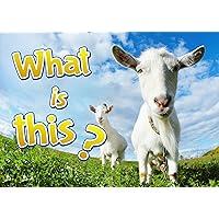 Children Books : What is it ? (Great , Funny Book for Children) (Age 4 - 9)