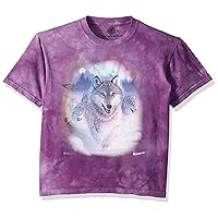 The Mountain Unisex-Adult's Northern Lights, Purple, Large