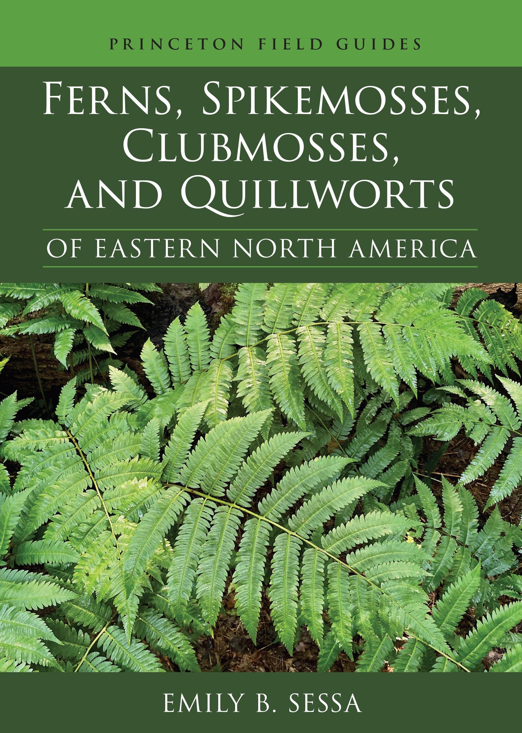Ferns, Spikemosses, Clubmosses, and Quillworts of Eastern North America (Princeton Field Guides, 150)