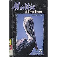 Mattie: A Brown Pelican (Cover-To-Cover Chapter Books: Animal Adv.-Air) Mattie: A Brown Pelican (Cover-To-Cover Chapter Books: Animal Adv.-Air) Hardcover