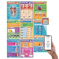 Daydream Education Applied Anatomy & Physiology Posters - Set of 9 - PE Posters - Gloss Paper - 33” x 23.5” - FREE Interactive Quizzes - Physical Education Charts for the Classroom - Education Charts