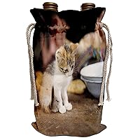 3dRose Danita Delimont - Cats - Cat on dining table, La Cumbre, Ixtahuacan, Guatemala - SA10 PBO0045 - Phil Borges - Wine Bag (wbg_86537_1)