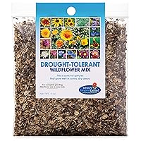 Drought Tolerant Wildflower Seeds - 4oz, Open-Pollinated Bulk Flower Seed Mix for Beautiful Perennial, Annual Garden Flowers - No Fillers - 4 oz Packet