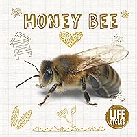 Life Cycle of a Honey Bee (Life Cycles) Life Cycle of a Honey Bee (Life Cycles) Hardcover Paperback
