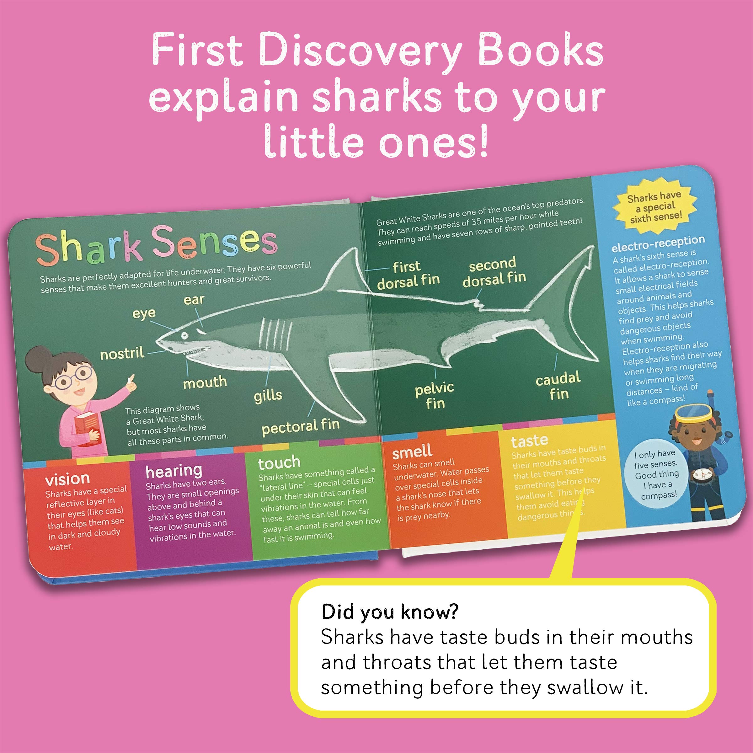 Sharks (Smithsonian Kids First Discovery Books)