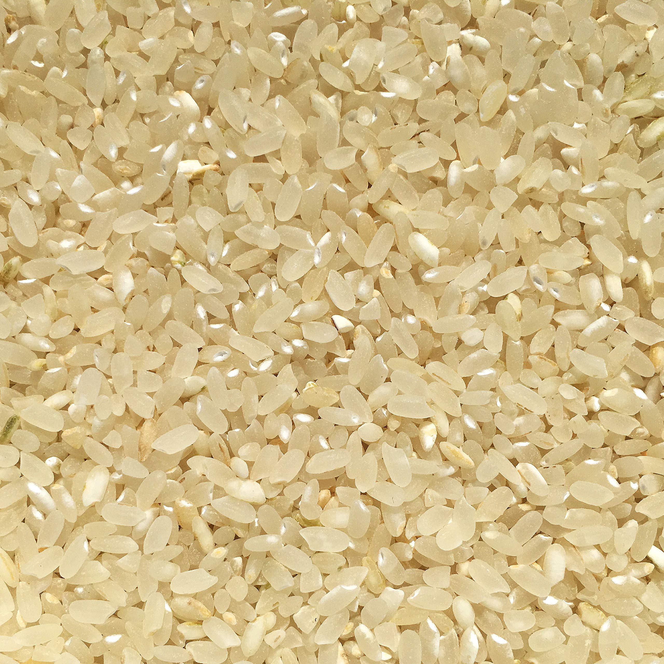 Chico Rice - 20 lbs Blonde California Japonica Medium Grain Rice - 100% Organic, Vegan, Gluten Free, Haiga Mai
