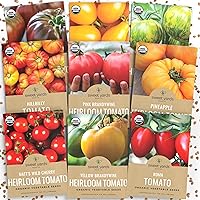 Organic Heirloom Tomato Seeds Variety Pack - 9 Seed Packets: Pink Brandywine, Roma, Green Zebra, Pineapple, Hillbilly, Black Krim, Matt's Wild Cherry, Yelloiw Pear and Yellow Brandywine