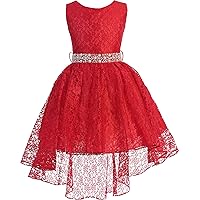 Little Girls Sleeveless Floral Lace Rhinestone High Low Party Flower Girl Dress