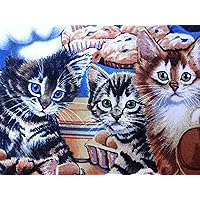 'NUGGLEBUDDY NEW! Microwavable Moist Heat & Aromatherapy Organic Rice Pack for Cat Lovers! BAKERY KITTENS Fabric Scented with the aroma of freshly baked Sugar Cookies! ADORABLE!