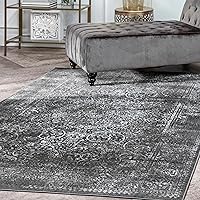 nuLOOM Transitional Persian Delores Area Rug, 9x12, Dark Grey