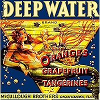 A SLICE IN TIME Okahumpka Deep Water Florida Mermaid Orange Fruit Crate Label Art Print Travel Advertisement Poster