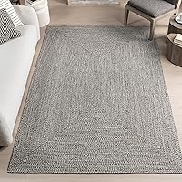 nuLOOM Wynn Braided Indoor/Outdoor Area Rug, 5x8, Light Grey/Salt and Pepper