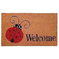 121432436 Ladybug Welcome Doormat 24