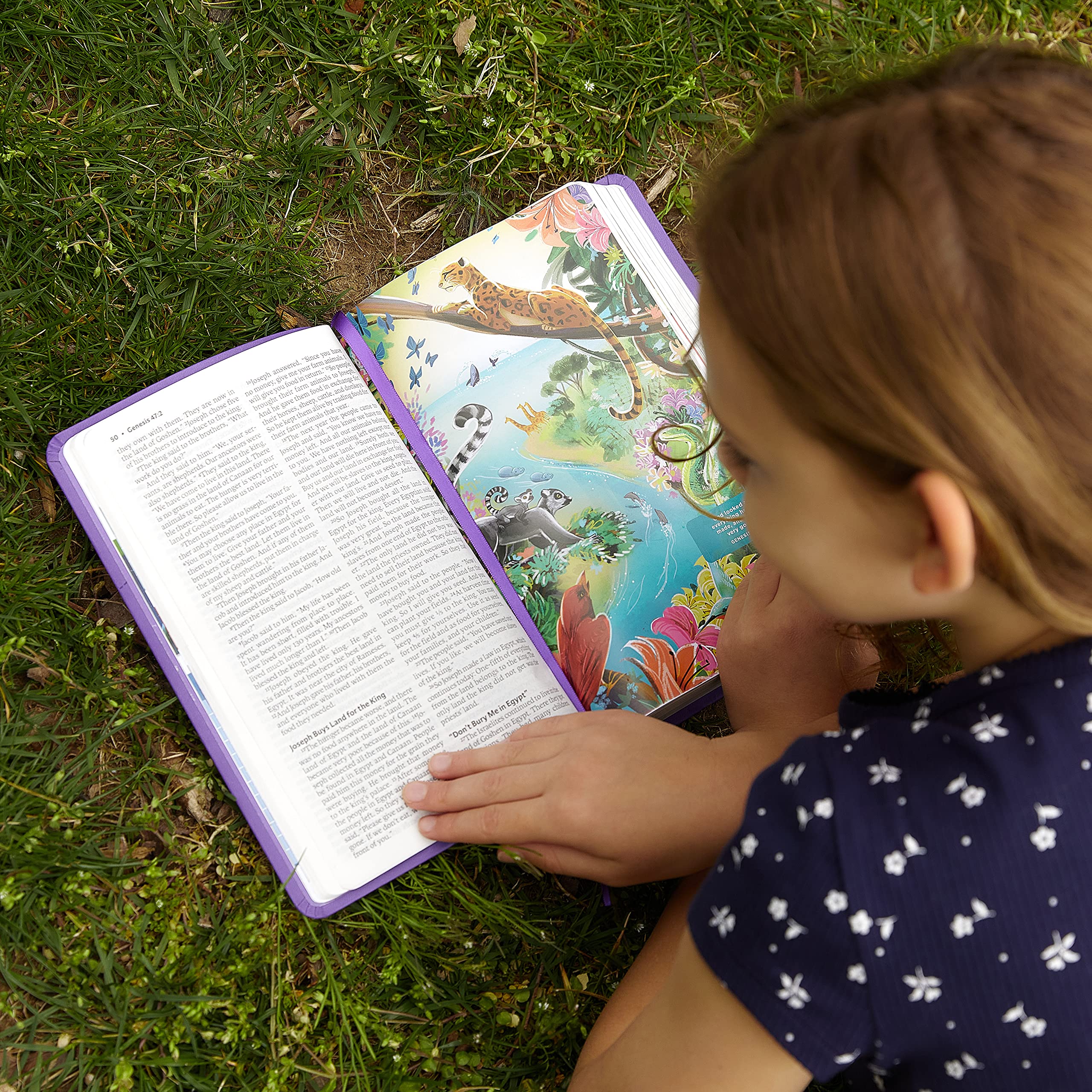 ICB, Holy Bible, Leathersoft, Purple: International Children's Bible