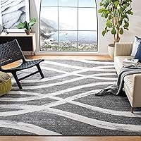 SAFAVIEH Adirondack Collection Area Rug - 9' x 12', Charcoal & Ivory, Modern Wave Distressed Design, Non-Shedding & Easy Care, Ideal for High Traffic Areas in Living Room, Bedroom (ADR125R)