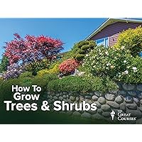 How to Grow Anything: Make Your Trees and Shrubs Thrive
