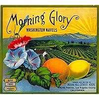 Pomona California Morning Glory Brand Flowers Version #1 Oranges Orange Citrus Fruit Crate Box Label Art Print