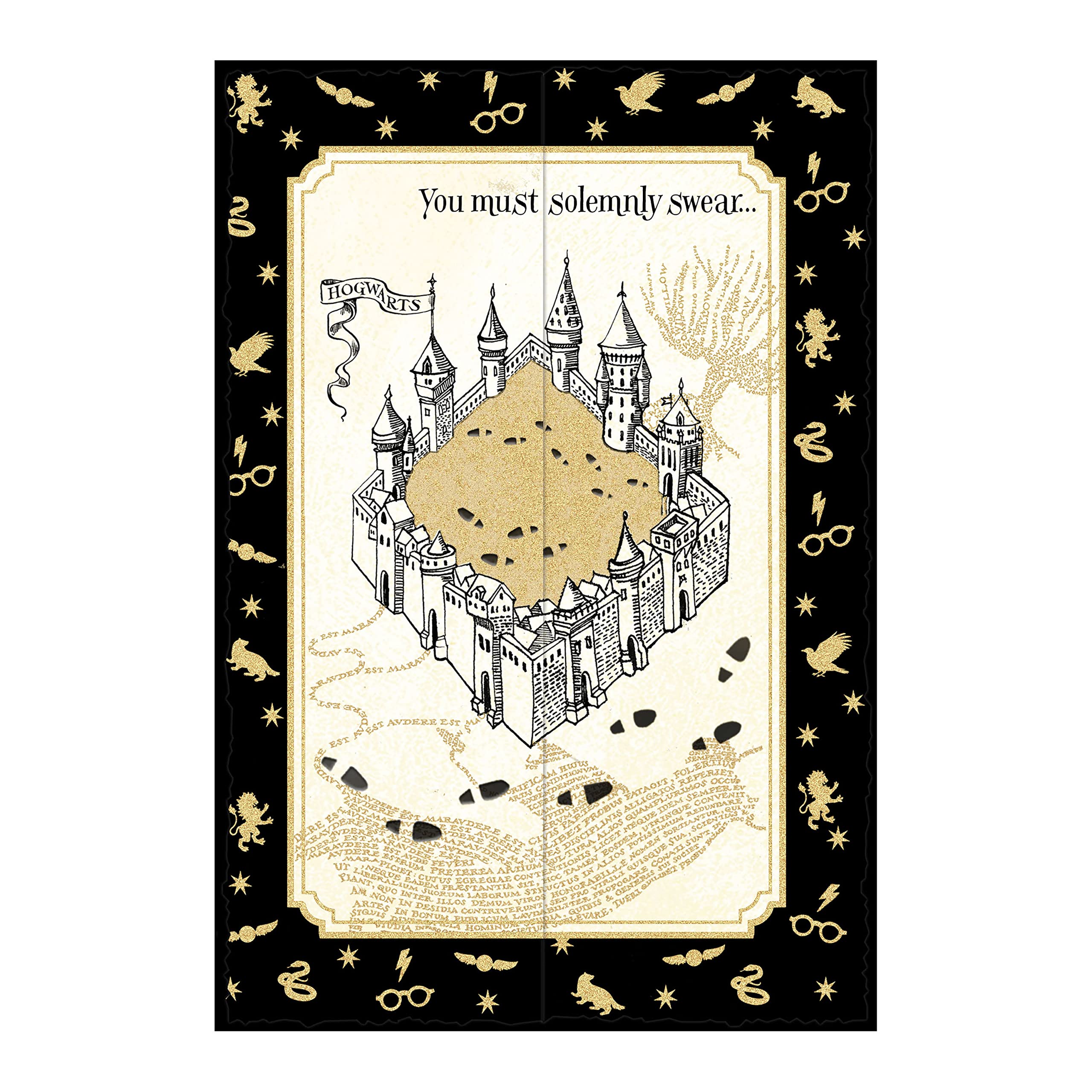 Hallmark Harry Potter Birthday Card (Marauder's Map) (5RZB2102)